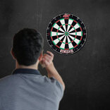 Shot Renegade Bristle Dartboard