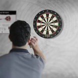 Shot Rogue Bristle Dartboard