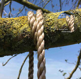 Wooden Tall Tree Swing - 6 metre ropes