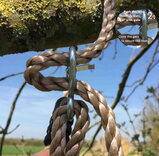 Wooden Tall Tree Swing - 6 metre ropes