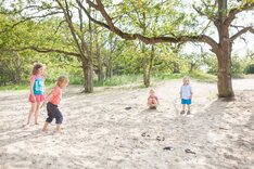 Ring Toss / Cross Quoits