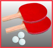 Butterfly Compact 16 Table Tennis Table